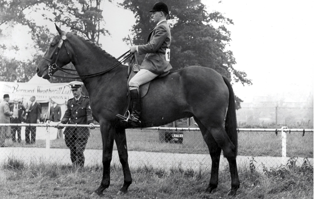 The National Hunter Show 1959 at Shrewsbury June 25th