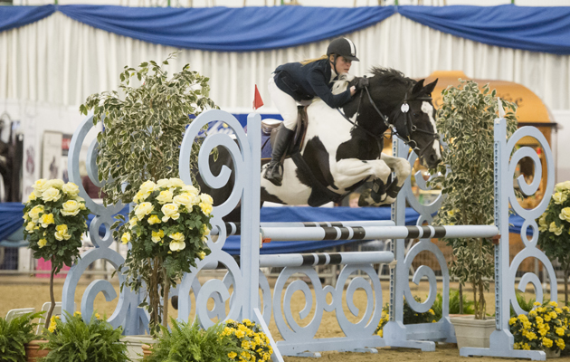 Blue Chip Winter Championships 2015 at Hartpury