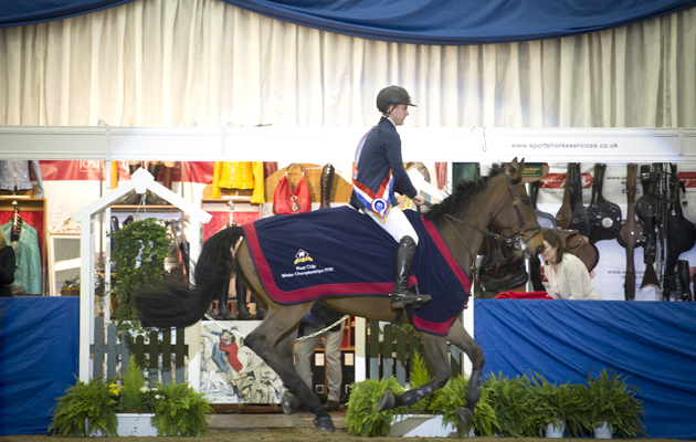 Blue Chip Winter Championships 2015 at Hartpury