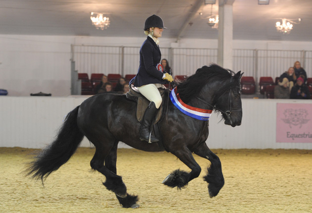 BSPS Winter Champs. Friday 03.04.15