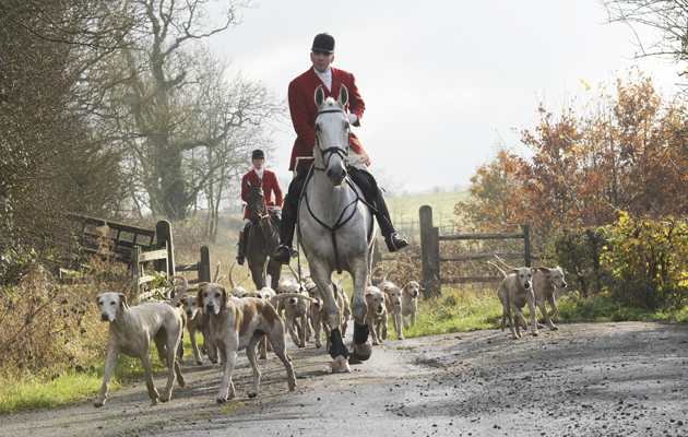 How to Tack Up Your Horse (A Guide for English Riders) – Farm House Tack