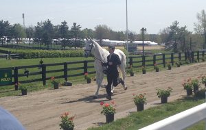 Francis Whittington and Easy Target at the first trot-up at Rolex Kentucky 2015