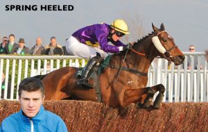 Spring Heeled and Robbie McNamara Win the Fulke Walwyn Kim Muir Challenge Cup Handicap Chase Cheltenham 13-03-2014 Pic LouisePollard / Racingfotos.com THIS IMAGE IS SOURCED FROM AND MUST BE BYLINED "RACINGFOTOS.COM"