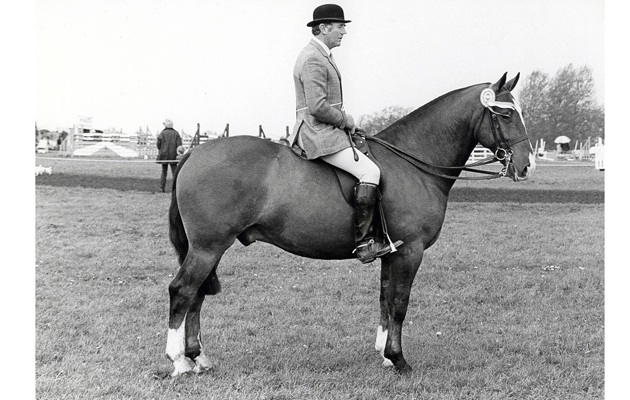Robert Oliver 2