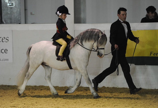 BSPS Winter Champs. Friday 03.04.15