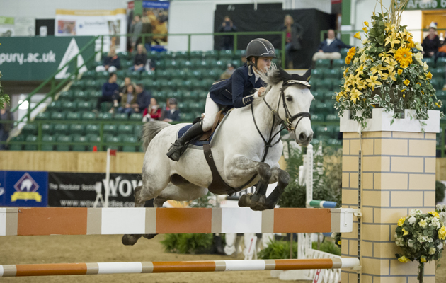 Blue Chip Winter Championships 2015 at hartpury