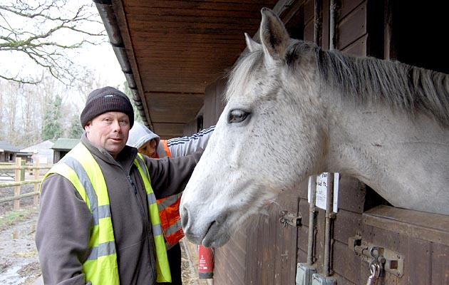 cardiff riding school