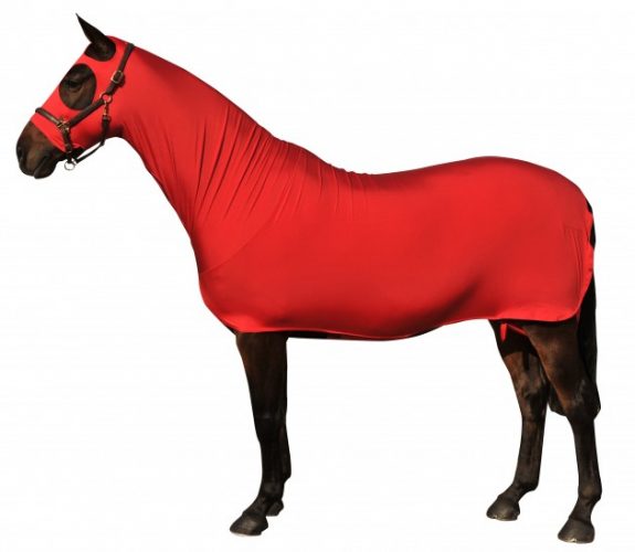 6 of the best bibs, shoulder savers and under rugs Horse & Hound