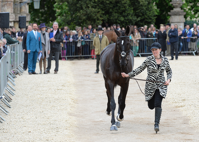 The Mitsubishi Motors Badminton Horse Trials on  10 05 2015
