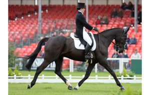 Nana Dalton (GBR) riding Absolut Opposition during the Dressage phase of The Mitsubishi Motors Badminton Horse Trials at Badminton in Gloucestershire, UK; on 7th May 2015