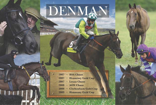 Denman jigsaw puzzle from the IJF