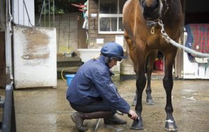 showing turnout tips