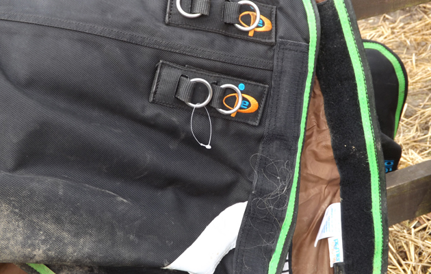 premier equine storm buster