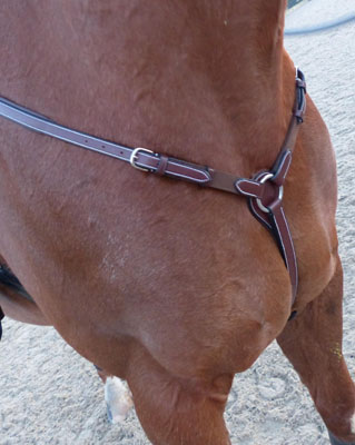 2.Childéric Saddles Breastplate emailer corrrect  copy