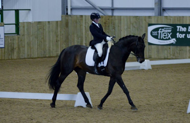 Amo and Suz Hartpury
