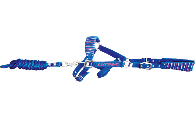 Cottage-Craft-Headcollar