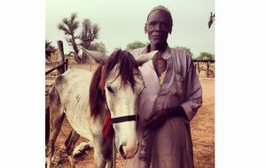 Gambia Horse and Donkey Trust Old man