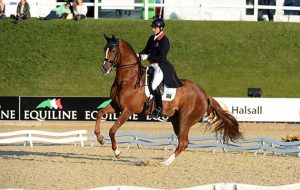 Michael EILBERG riding WOODLANDER FAVOCHE; winner of Dressage Competition at Bolesworth CSI **** International, at Bolesworth Castle, Tattenhall, near Chester on the 18th June 2015