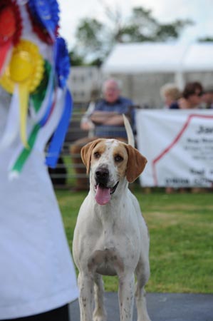 Blaston Hound Show 28 06 2015