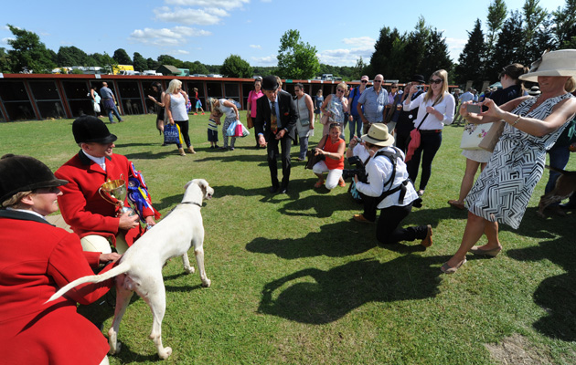 Gt Yorks. Hound Show Foxhound day 15.07.15