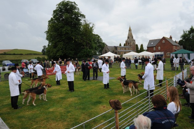 Blaston Hound Show 28 06 2015