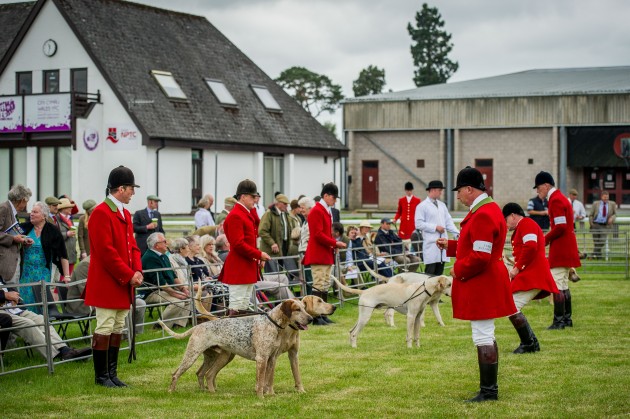 Builth Hound Show 25 06 2015