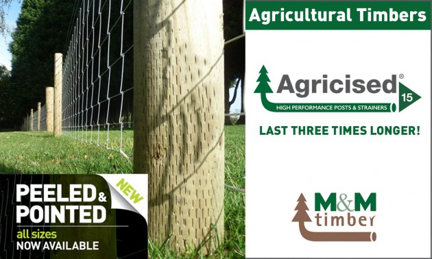 2. agricised peeled and pointed