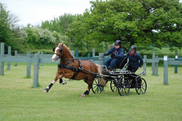 Schooling at Onley