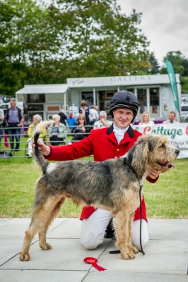 Builth Hound Show 25 06 2015