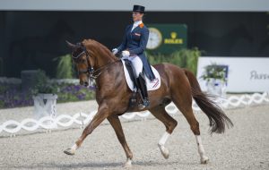 Adelinde Cornelissen on Parzival