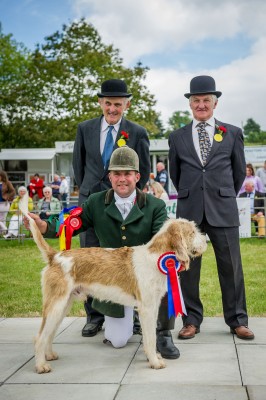 Builth Hound Show 25 06 2015