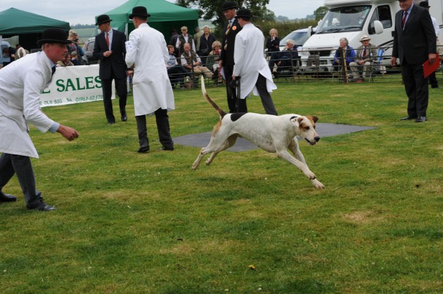 Blaston Hound Show 28 06 2015