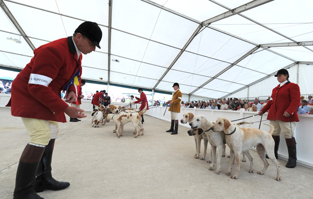 Gt Yorks. Hound Show Foxhound day 15.07.15