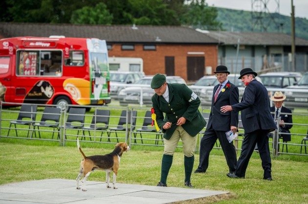 Builth Hound Show 25 06 2015