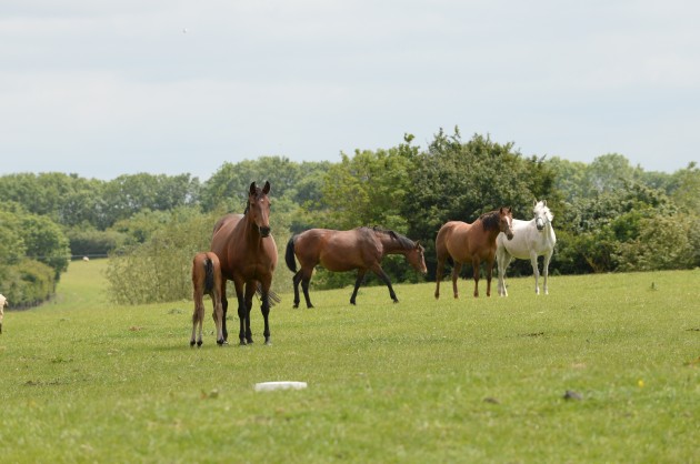 Ben Way on 10 06 2015