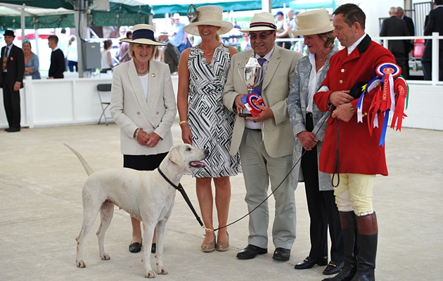 Gt Yorks. Hound Show Foxhound day 15.07.15