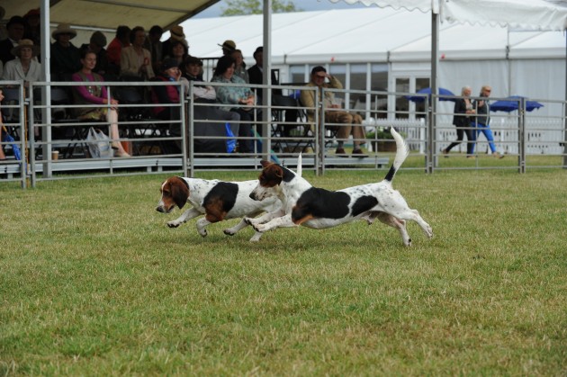 Festival of Hunting on 22 07 2015