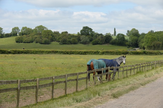 Ben Way on 10 06 2015