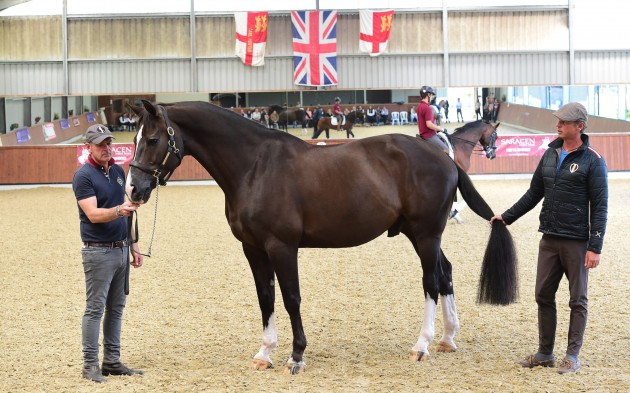 Carl with Valegro and his groom Alan Davies