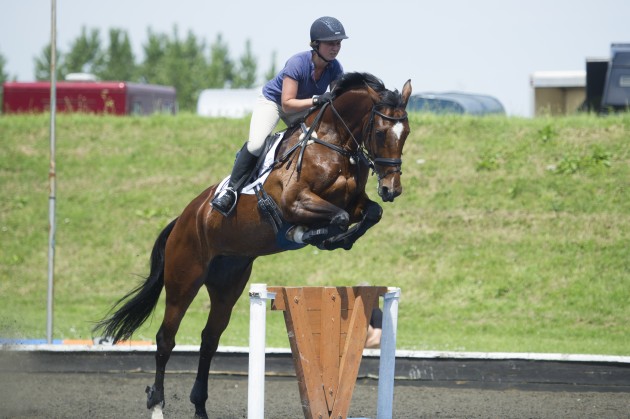 Training day at Boomerang equestrian center cross-country