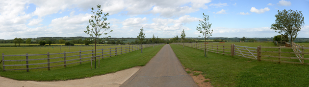 Piggy French on 02 06 2015