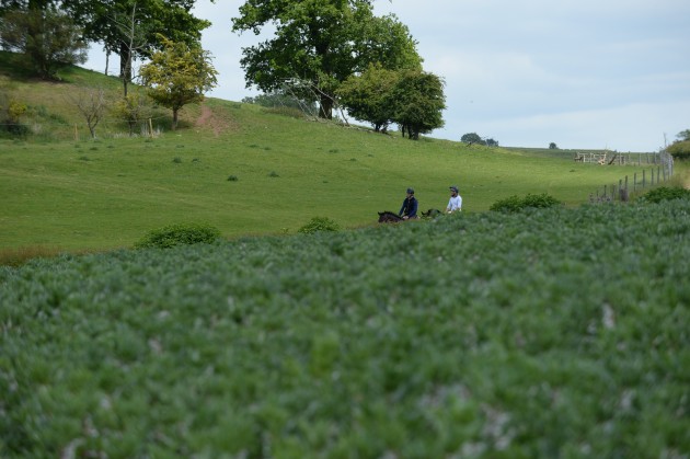 Ben Way on 10 06 2015