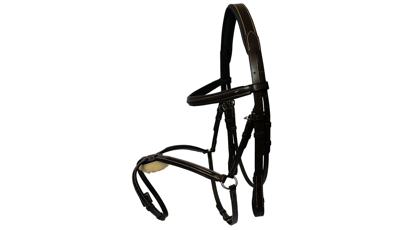 GS Equestrian Grackle Bridle