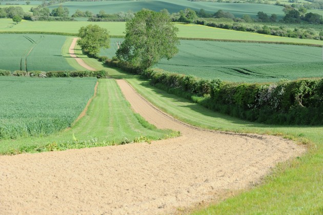 Piggy French on 02 06 2015