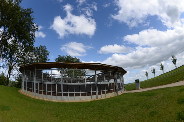 Piggy French on 02 06 2015