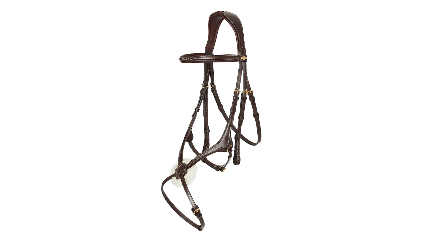 LeMieux Kudos Grackle Bridle