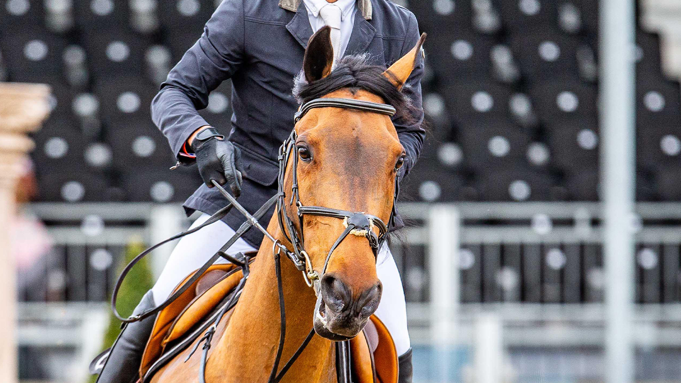 Best grackle bridles for every budget Horse & Hound