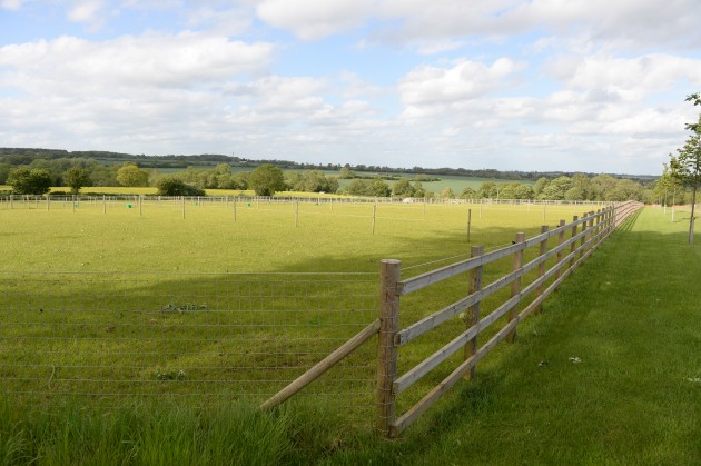 Piggy French on 02 06 2015