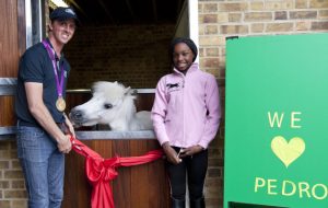 Miniature pony can now see over his door without his 5ft perisco