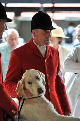 Peterb. Foxhound Show 22.07.15